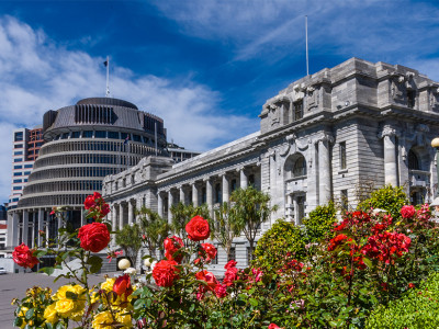 Solnet welcomes Fred Ah Far, Microsoft Infrastructure Engineer